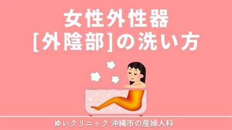 女性陰毛|女性の外性器